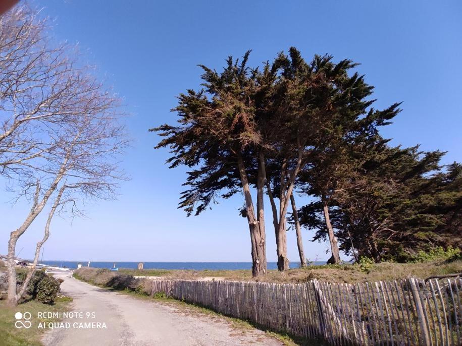 Logement En Rdc Port Haliguen Appartement Quiberon Buitenkant foto